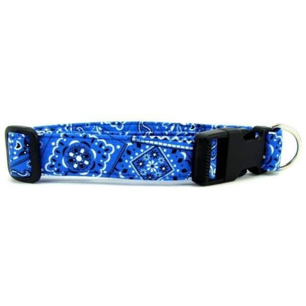 Bright Blue Bandana Dog Collar
